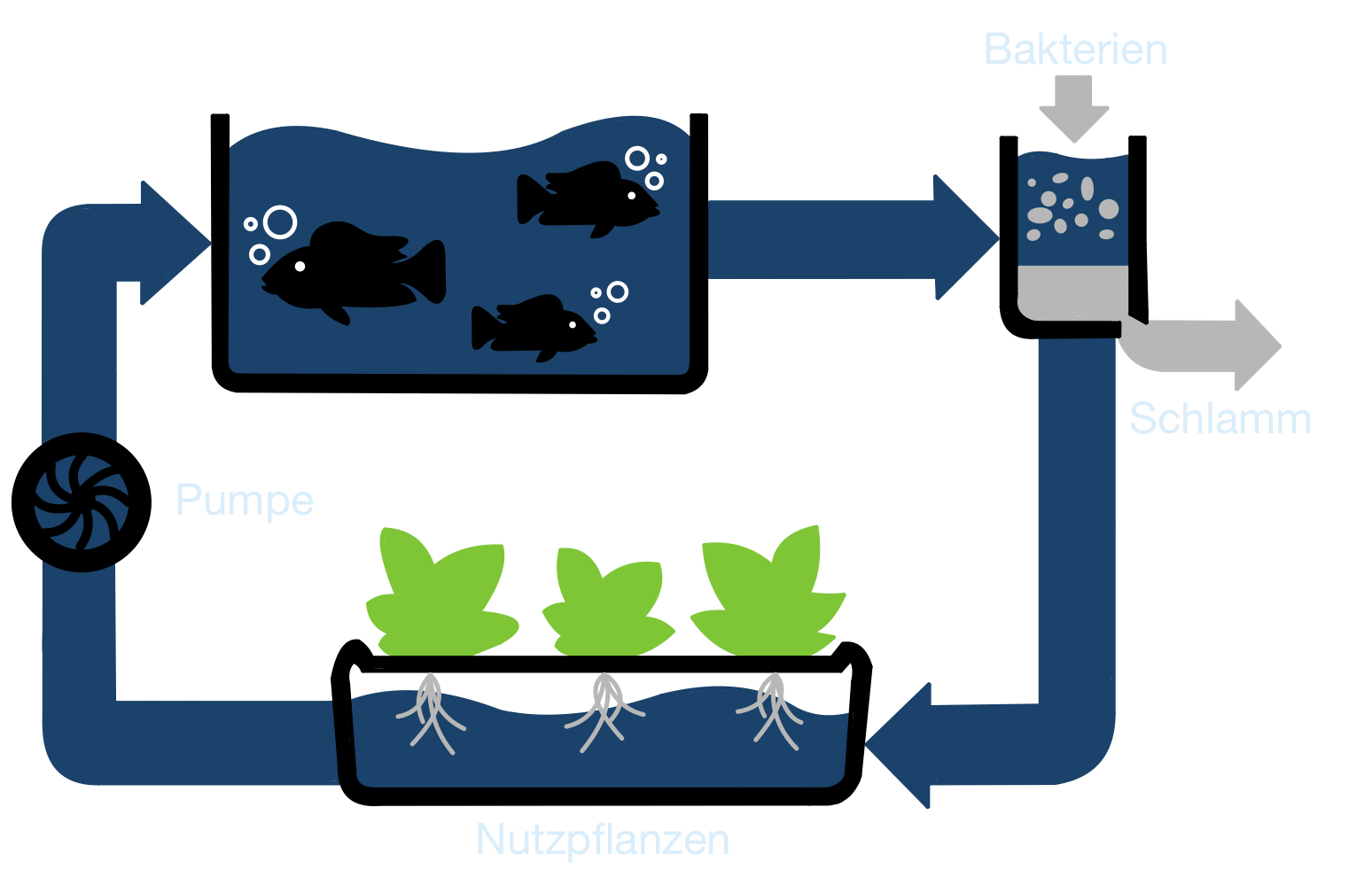 Aquaponik anlage